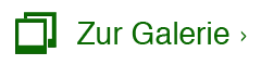 Zur Galerie ›